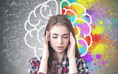Understanding the Brain Reasons for Behavior