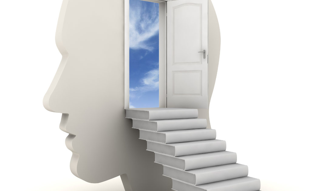 Mindful Learning and Critical Thinking