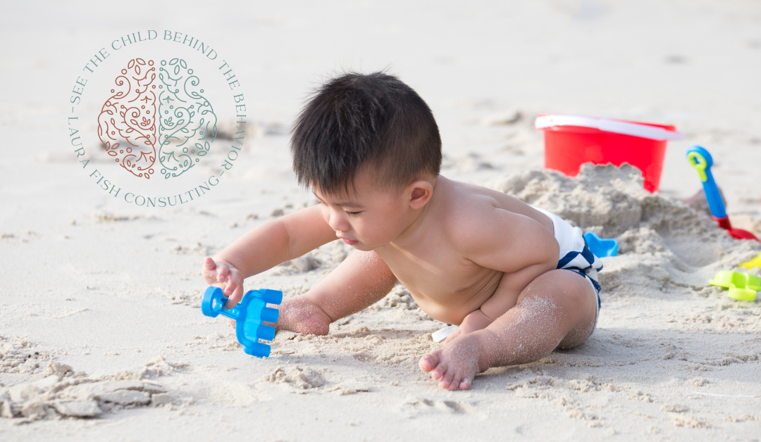 Executive Functioning in Young Children