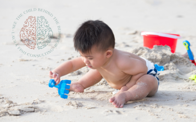 Executive Functioning in Young Children