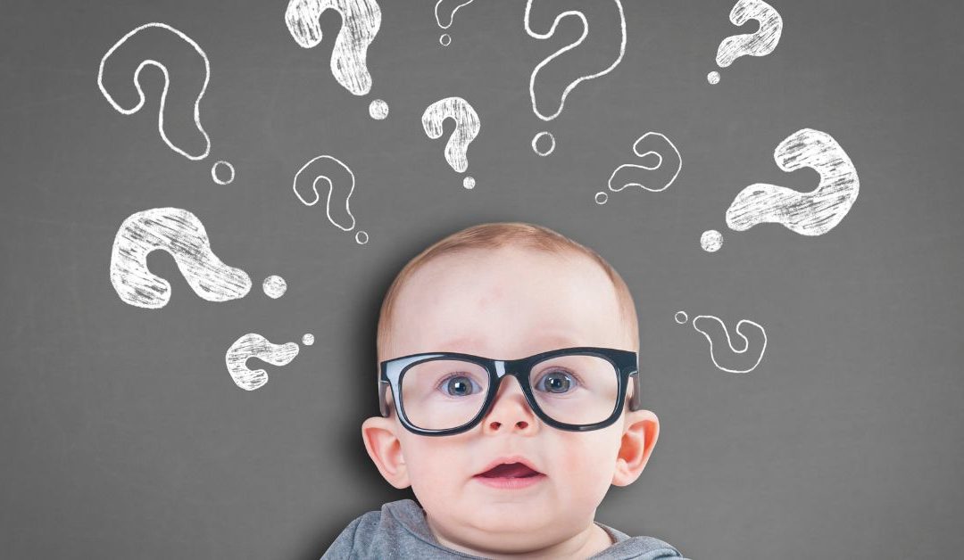 Navigating Uncertainty