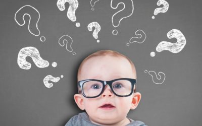 Navigating Uncertainty