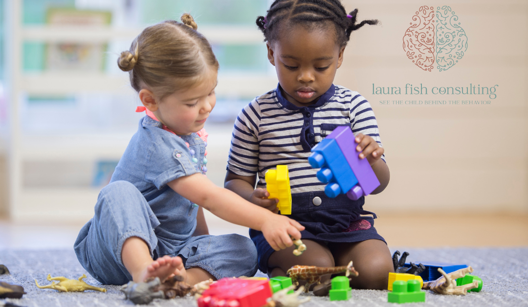 Executive Function Skills